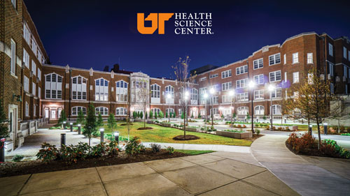 UTHSC Zoom/Teams background of the quadrangle at night.