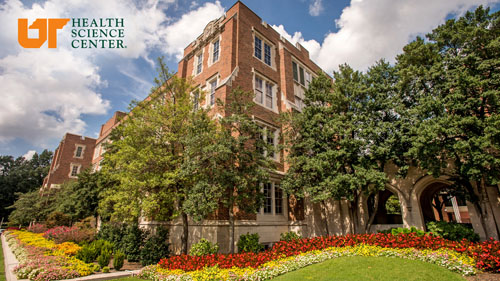 UTHSC Zoom/Teams background of the Hyman building.