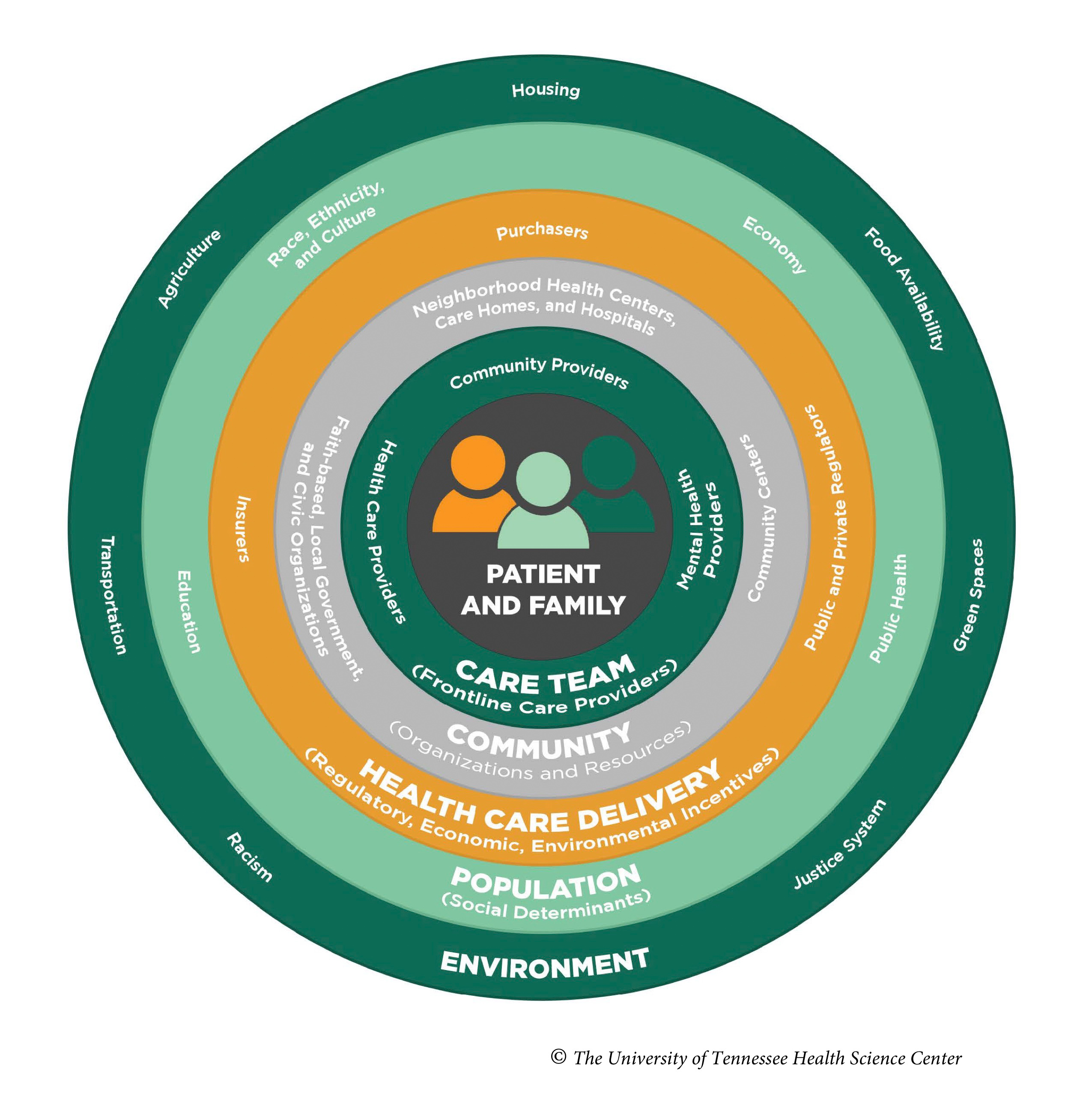 health ecological system with concentric circles illustratiing the different levels of a health system and their proximity to the patient. Most immediate is the family and care team. These are influenced by the health care delivery systems, the population and environment (social determinants of health), and finally, the environment including prejudices. 