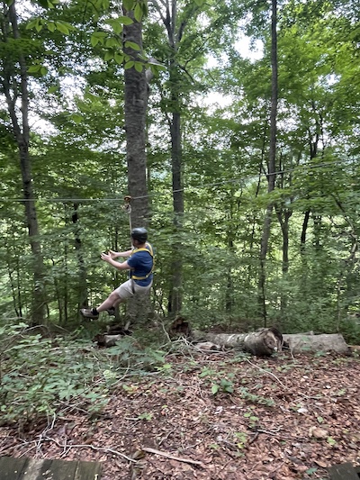 Residents swinging from tree outdoors