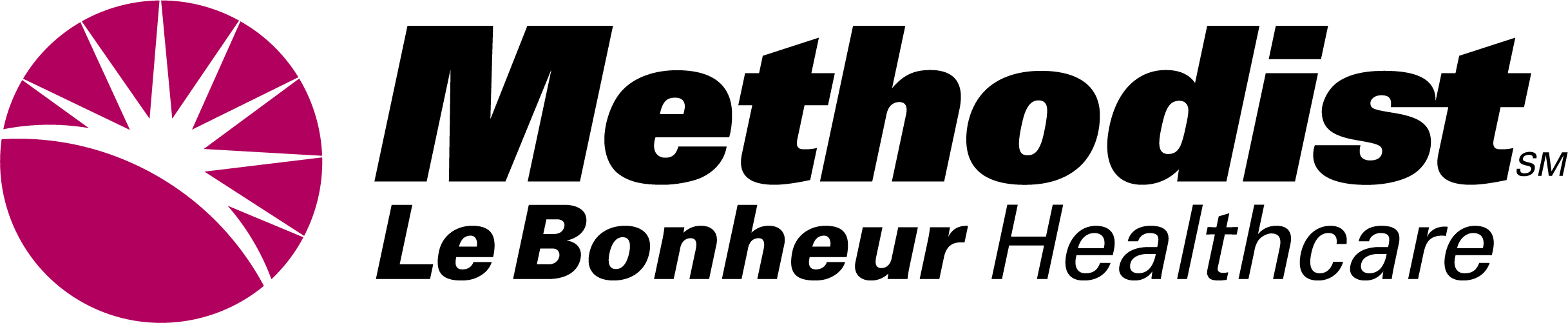 methodist logo