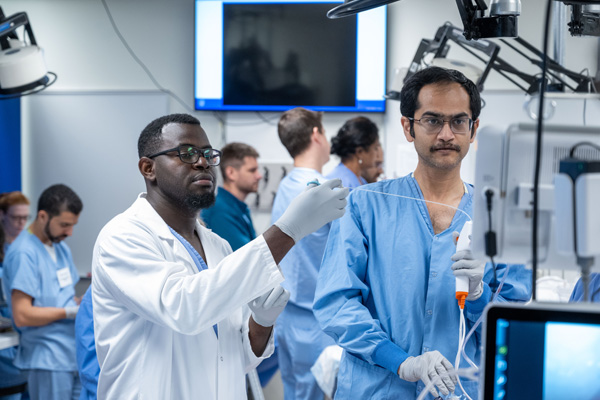 Fellows in a clinical training setting