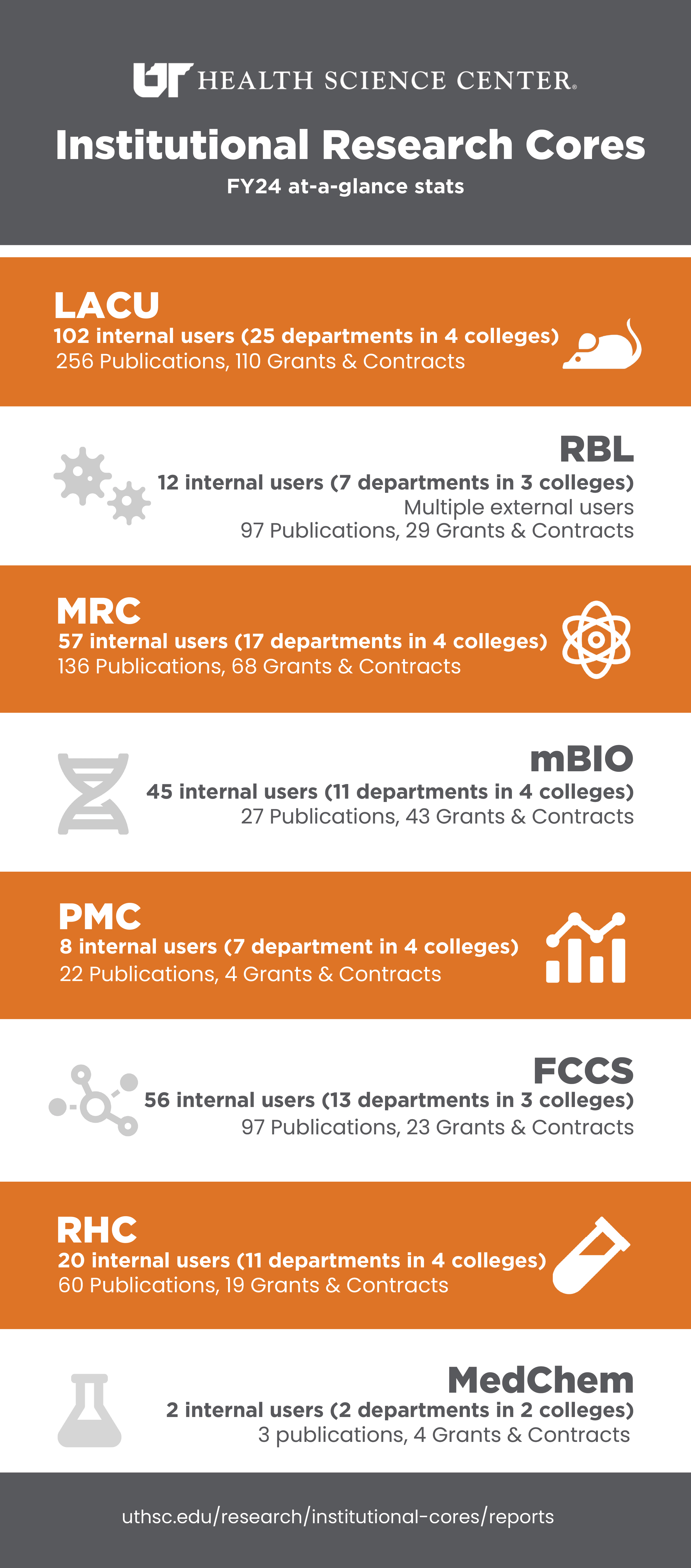 cores infographic