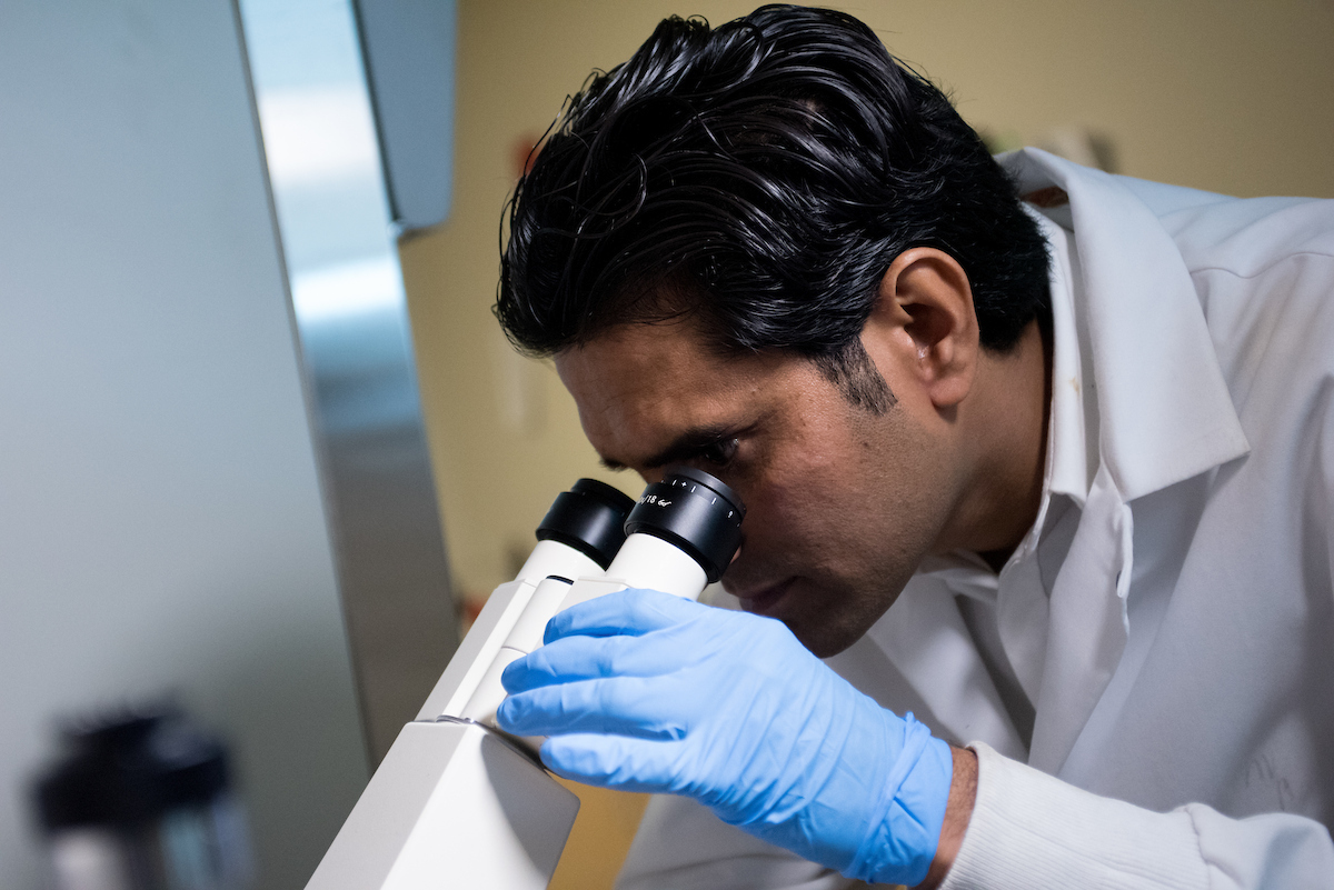 Researcher looking through microscope