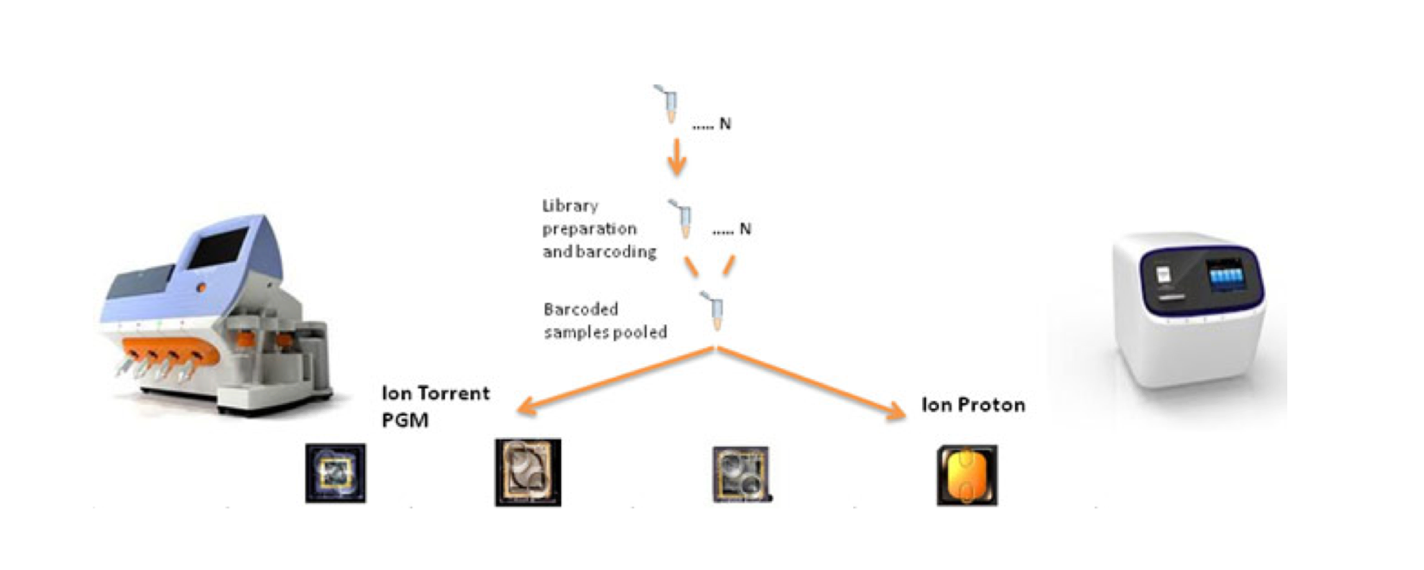 Next Generation Sequencing